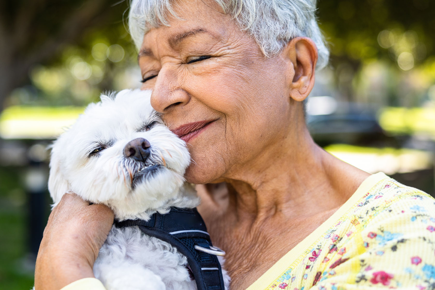 July 2024 Pet Ownership for Seniors